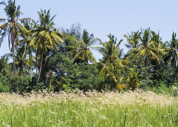 De Rekun Casa de hóspedes Ubud