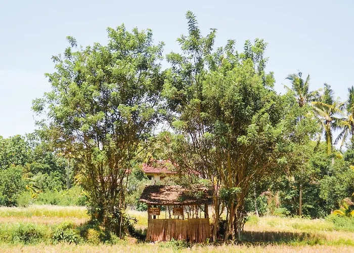 De Rekun Casa de hóspedes 3*